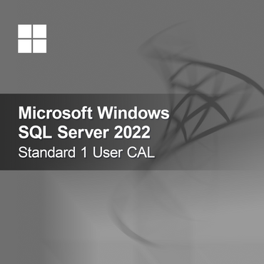 Microsoft SQL Server 2022 Standard 1 Utilizador CAL