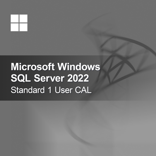 Microsoft SQL Server 2022 Standard 1 Utilizador CAL