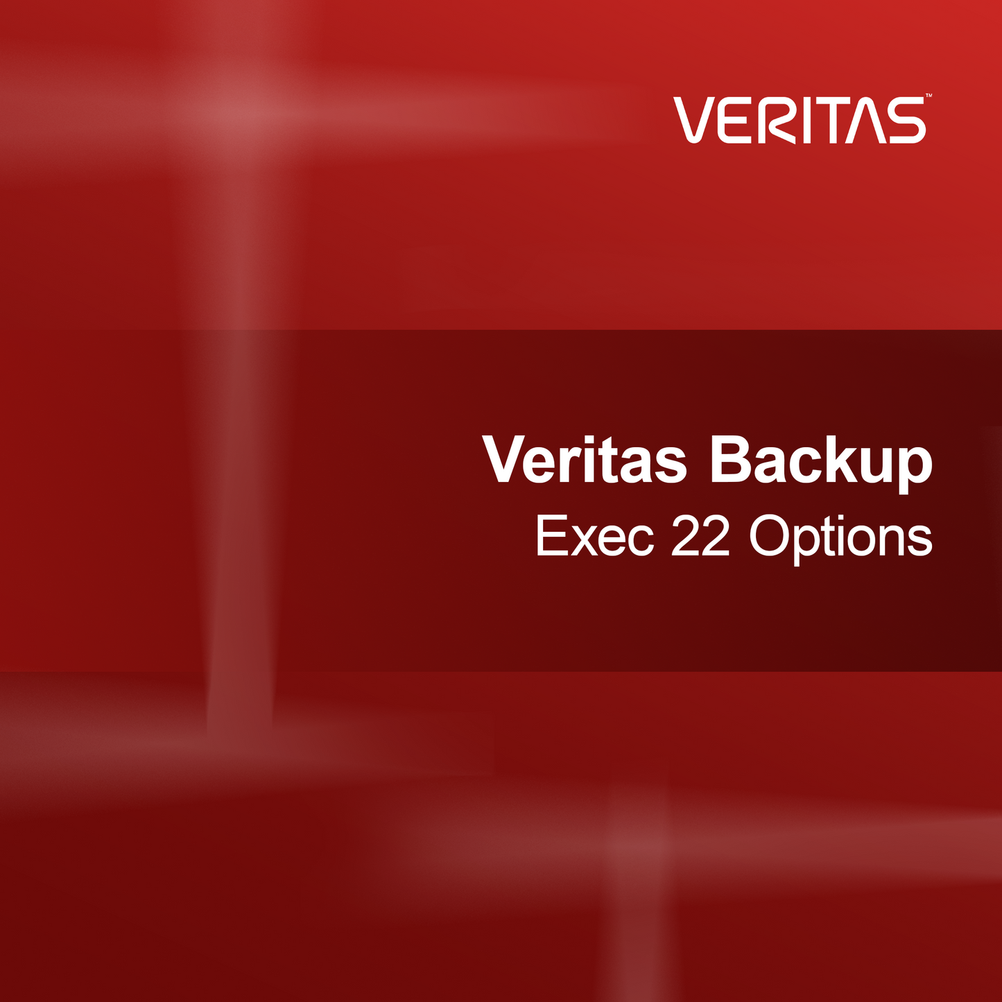 Opções Veritas Backup Exec 22